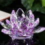Flor de Lotus transparente violeta