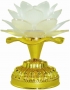 Flor de Lotus Mantras